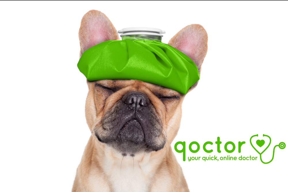 Maxalt Wafer Qoctor Your Quick Online Doctor