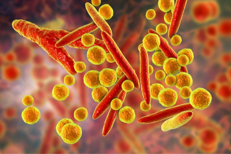 Mycoplasma Genitalium To Niewielka Bakteria Chorobotwórcza Będąca Przyczyną Mycoplasma Genitalium- a common STI- Qoctor your online doctor